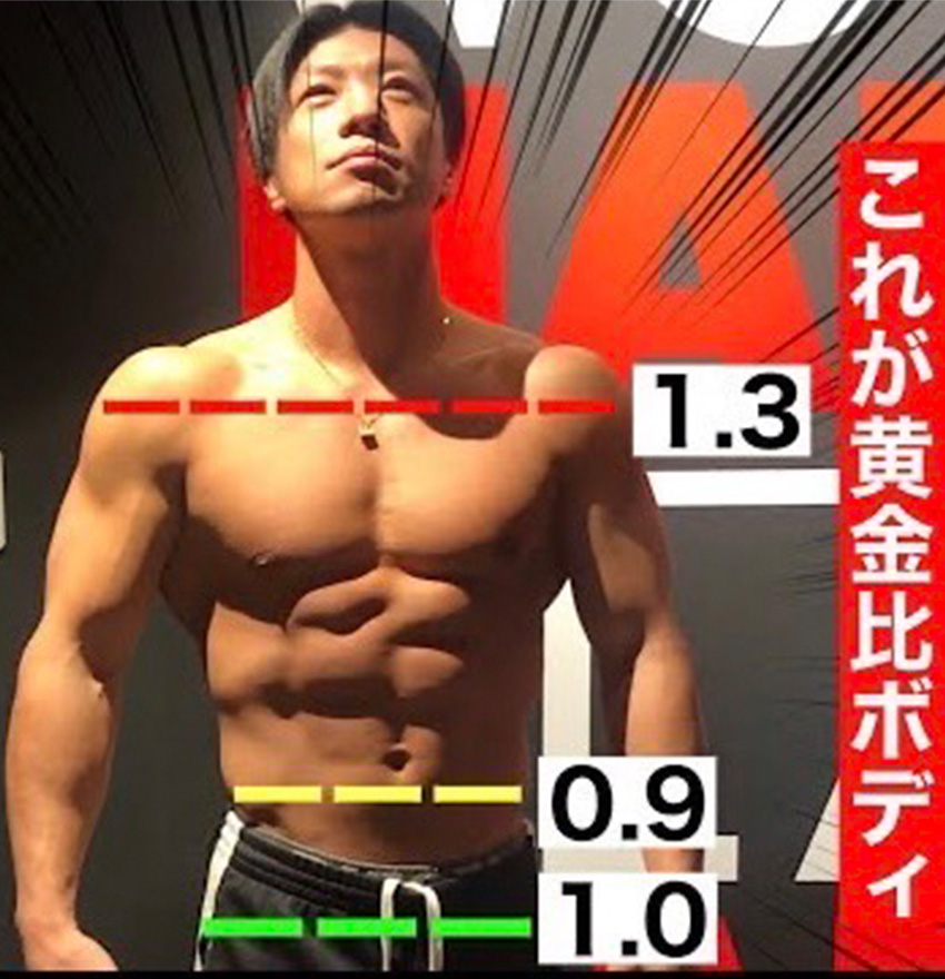 黄金比ボディー