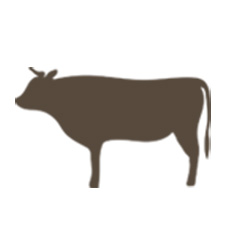 グラスフェッドプロテイン